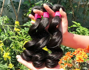 中国 健康な100%マレーシアの人間の毛髪の織り方の若い女の子からの自然で黒い/焦茶 サプライヤー